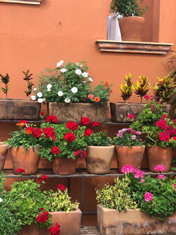 Xacalli Hotel San Miguel de Allende Extérieur photo