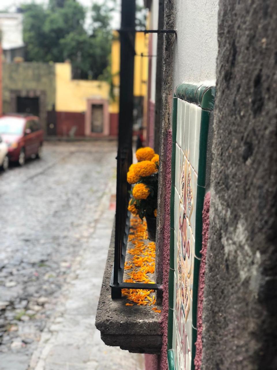 Xacalli Hotel San Miguel de Allende Extérieur photo
